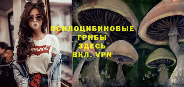 кокаин Алексеевка