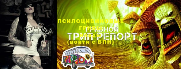бутират Алзамай